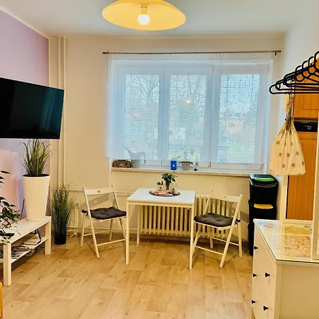 Garsonka Ve Dvore Apartment