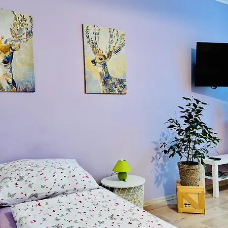 Apartment Garsonka Ve Dvore