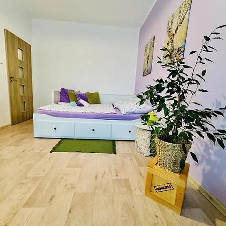 Garsonka Ve Dvore Apartment