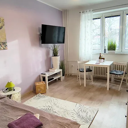 Garsonka Ve Dvore Apartman *