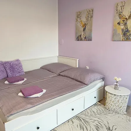 Garsonka Ve Dvore Appartement *