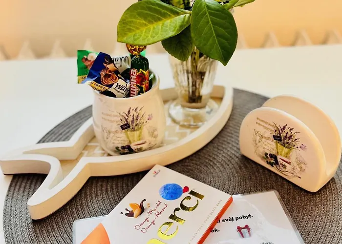 Apartman Garsonka Ve Dvore
