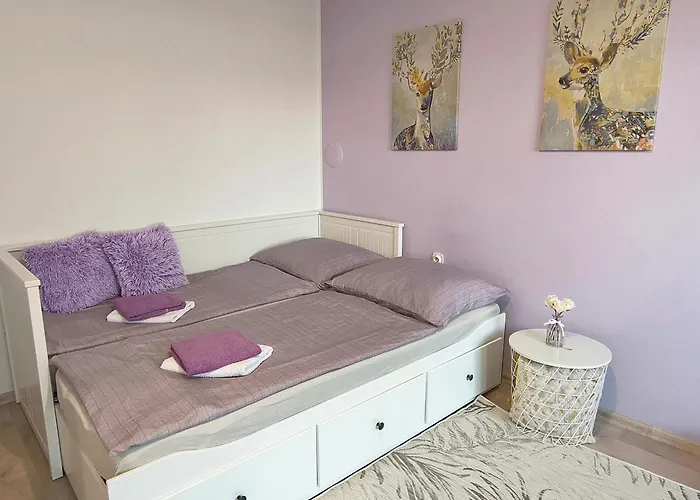 Garsonka Ve Dvore Apartman *